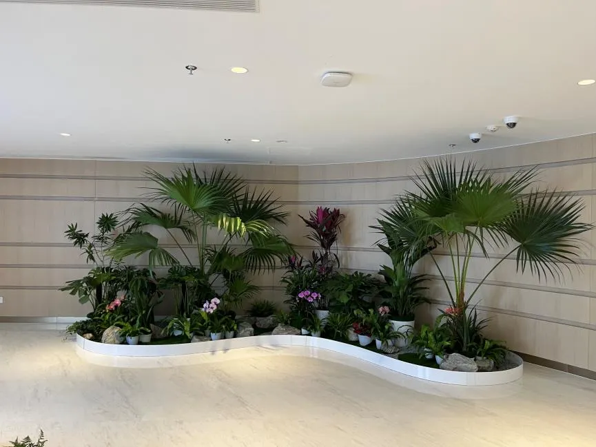 宁波鄞州花木租赁哪家好